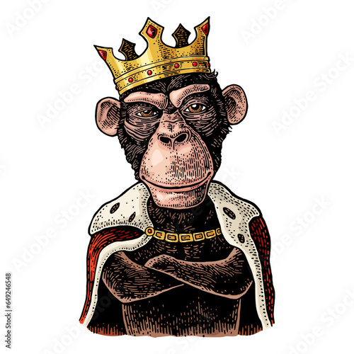 Monkey king with paws crossed dressed in the mantle and crow. Vintage color and black engraving