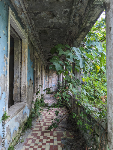Fototapeta Naklejka Na Ścianę i Meble -  Old Abandoned Building In The Trees