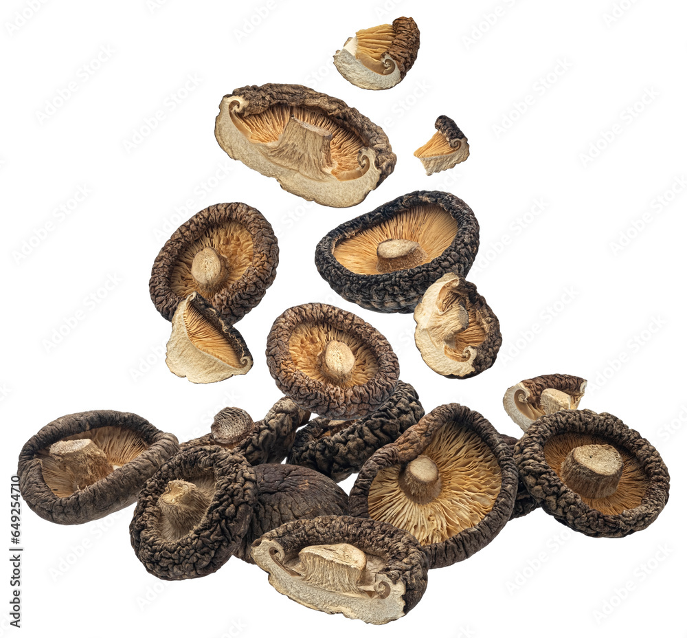 Dried shiitake mushrooms isolated on white background Dried shiitake mushrooms isolated on white background