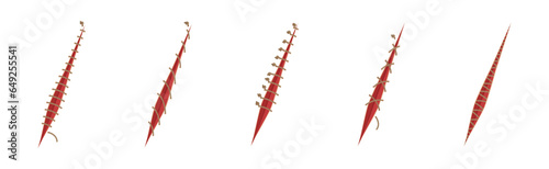 Baseball Stitches and Red Lace with Loop of Thread Isolated on White Background Vector Set