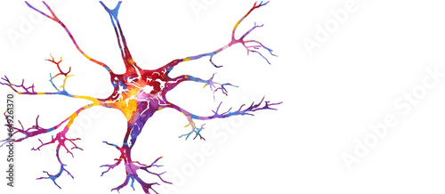 Neuron colorful watercolor vector illustration