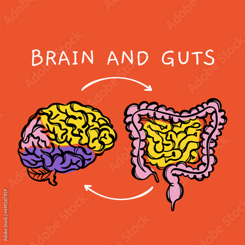 BRAIN AND GUTS Diagram Of Interaction Of Human Organs Medical Scheme For Teaching Anatomy Hand Draw Vector Illustration Sketch On Red Background