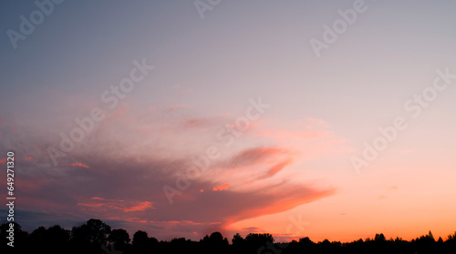 Purple-pink sky with dark red clouds at sunset against the background of a black silhouette of trees on a summer evening