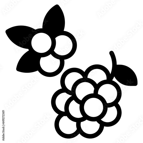 grapes, berry icon