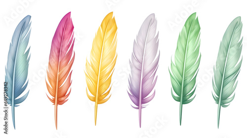 Set of bird feathers on transparent background