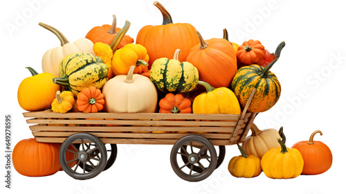 Wooden cart with thanksgiving ripe pumpkins