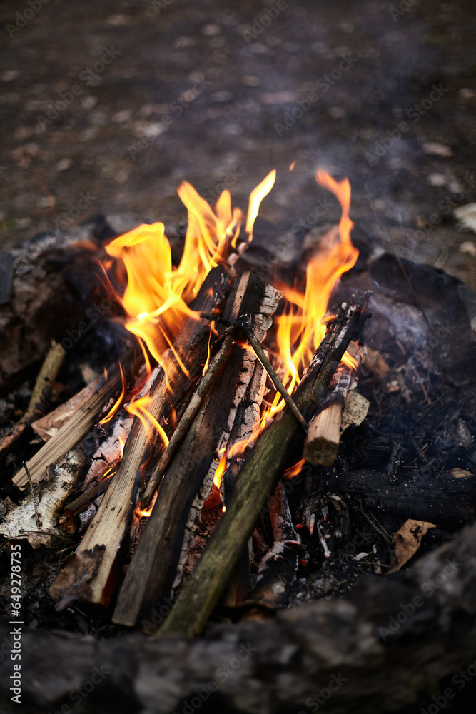 Wildfire burns ground in forest Wildfire burns ground in forest