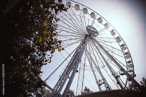 White ferris wheel in a park with greenery