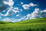 field with blue sky and green meadow background