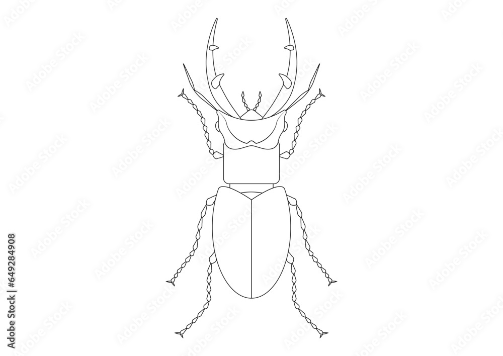 Black and White Giant Stag Beetle Clipart. Coloring Page of a Giant Stag Beetle