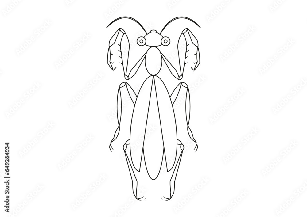 Fotografie Black and White Praying Mantis Clipart