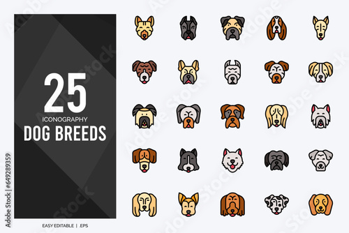 25 Dog Breeds Lineal Color icons pack. vector illustration.