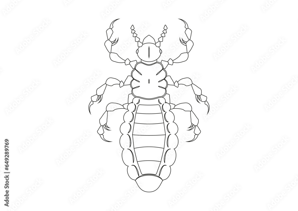 Fototapeta premium Black and White Louse Clipart Vector isolated on White Background. Coloring Page of a Louse