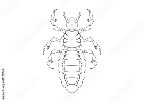 Black and White Louse Clipart Vector isolated on White Background. Coloring Page of a Louse
