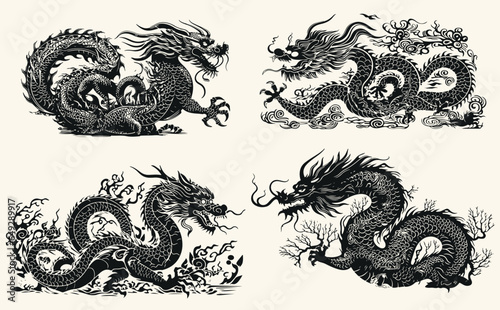 Asian dragons set.