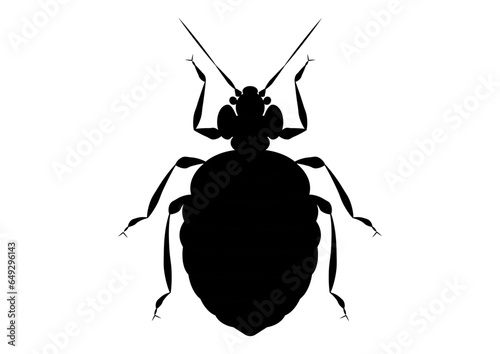 Black and White Bed Bug Clipart