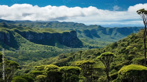 animal new caledonian forests illustration natural closeup, tree sky, tropical wildlife animal new caledonian forests