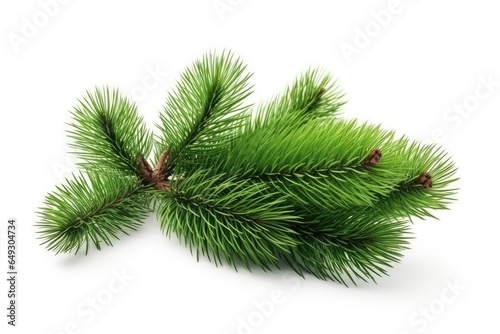 A close-up view of a lush  evergreen pine branch with fresh needles  a symbol of the festive and traditional Christmas season.