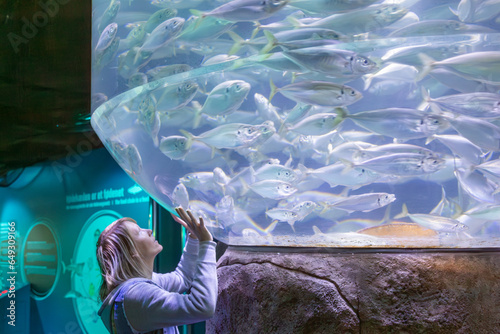 Frau schaut Heringe an, Ozeanarium Hirtshals