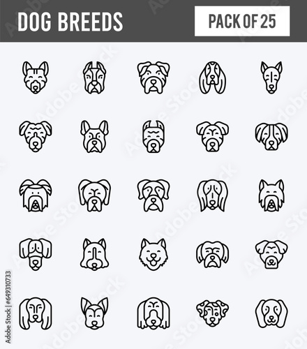 25 Dog Breeds Lineal Expanded icons pack. vector illustration.
