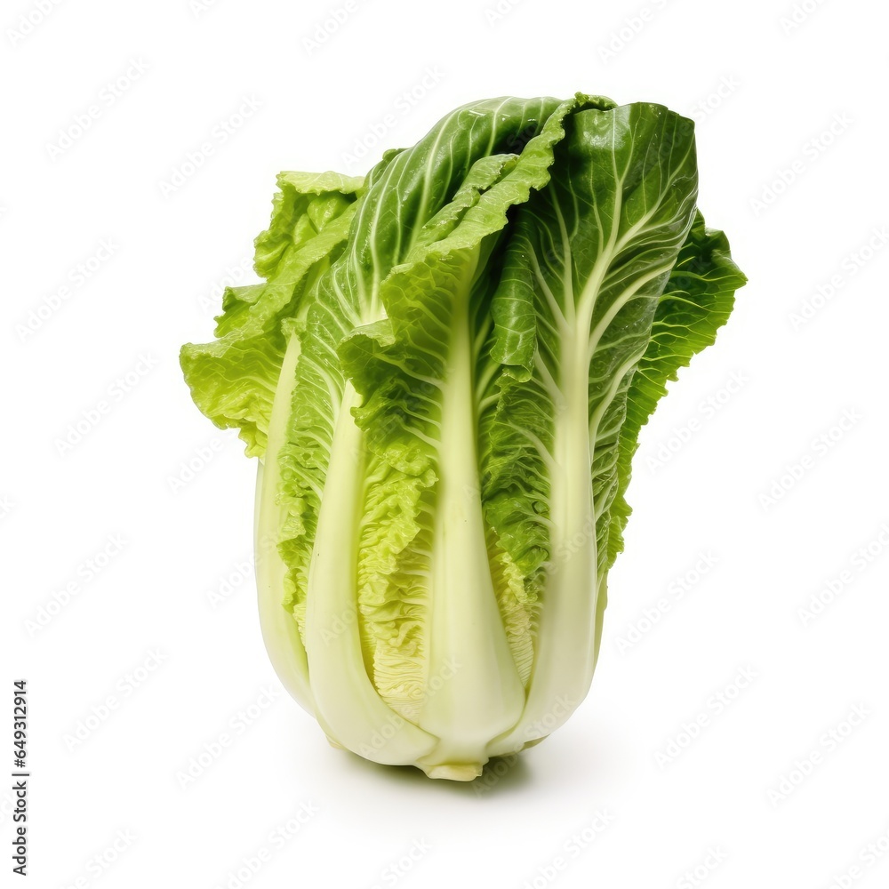 Chinese Celery Cabbage on White background, HD Chinese Celery Cabbage on White background, HD
