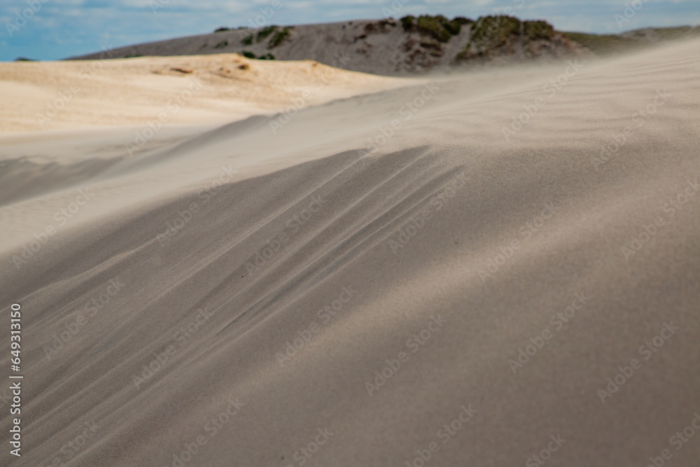 Fotografie Råbjerg Mile – Sand weht über die Wanderdüne in Dänemark