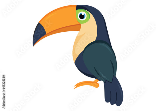 Toucan Bird Vector Illustration Isolated On white Background
