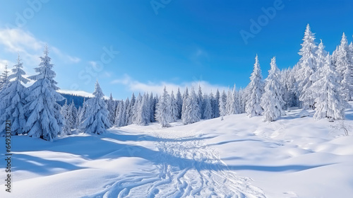 Winter landscape with fair trees under the snow. Scenery for the tourists. Christmas holidays. Trampled path in the snowdrifts. © Sasint