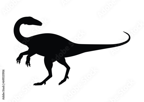 Coelophysis Dinosaur Silhouette Vector Isolated on White Background