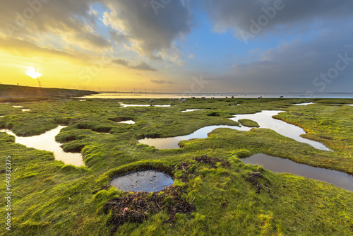 Erosion holes in grassland of Tidal marsh of Dollard photo