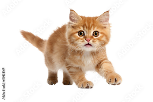 Playful Pouncing walking kitten Isolated on Transparent Background. Generative Ai.