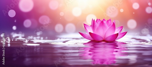 A beautiful pink flower floating serenely on a tranquil body of water