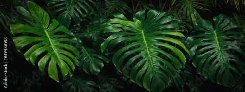 leaf texture, foliage nature on a green background, green, grass, vegetation