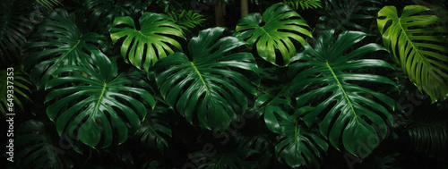 leaf texture, foliage nature on a green background, green, grass, vegetation
