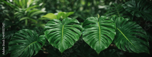 leaf texture, foliage nature on a green background, green, grass, vegetation