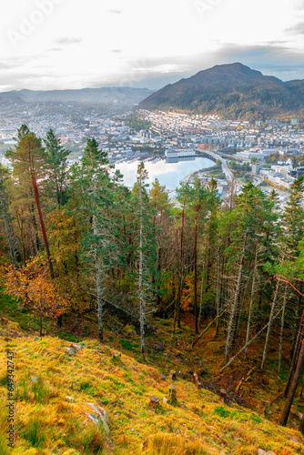 Trees and Bergen Panorama photo