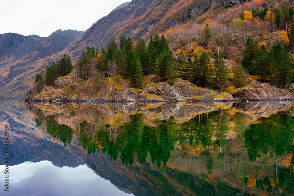 Reflections of trees in the Fjord