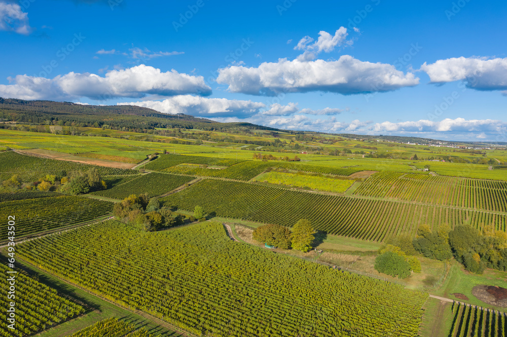 Aerial view of the vineyards around Oestrich-Winkel/Germany in the Rheingau in autumn