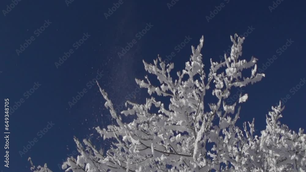 Slowmotion arbre glacé