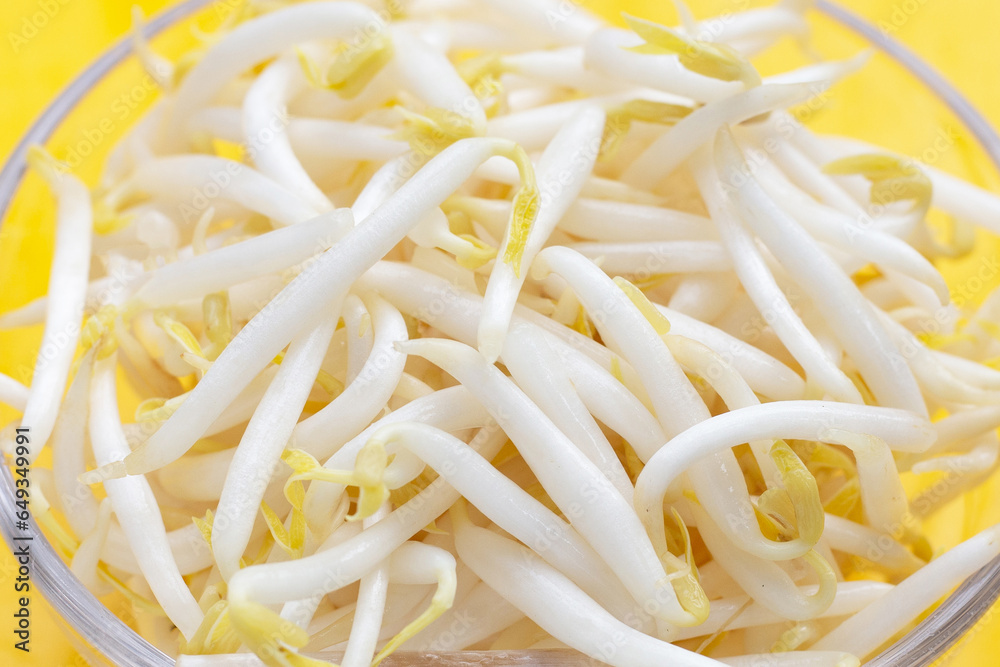 Bean sprouts on yellow background Bean sprouts on yellow background