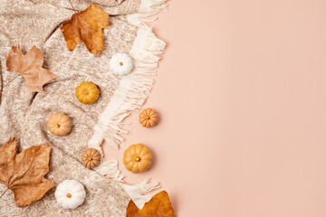 Autumn background with pumpkins, fall leaves and plaid cover in natural pastel colors.  Seasonal holidays background with copy space