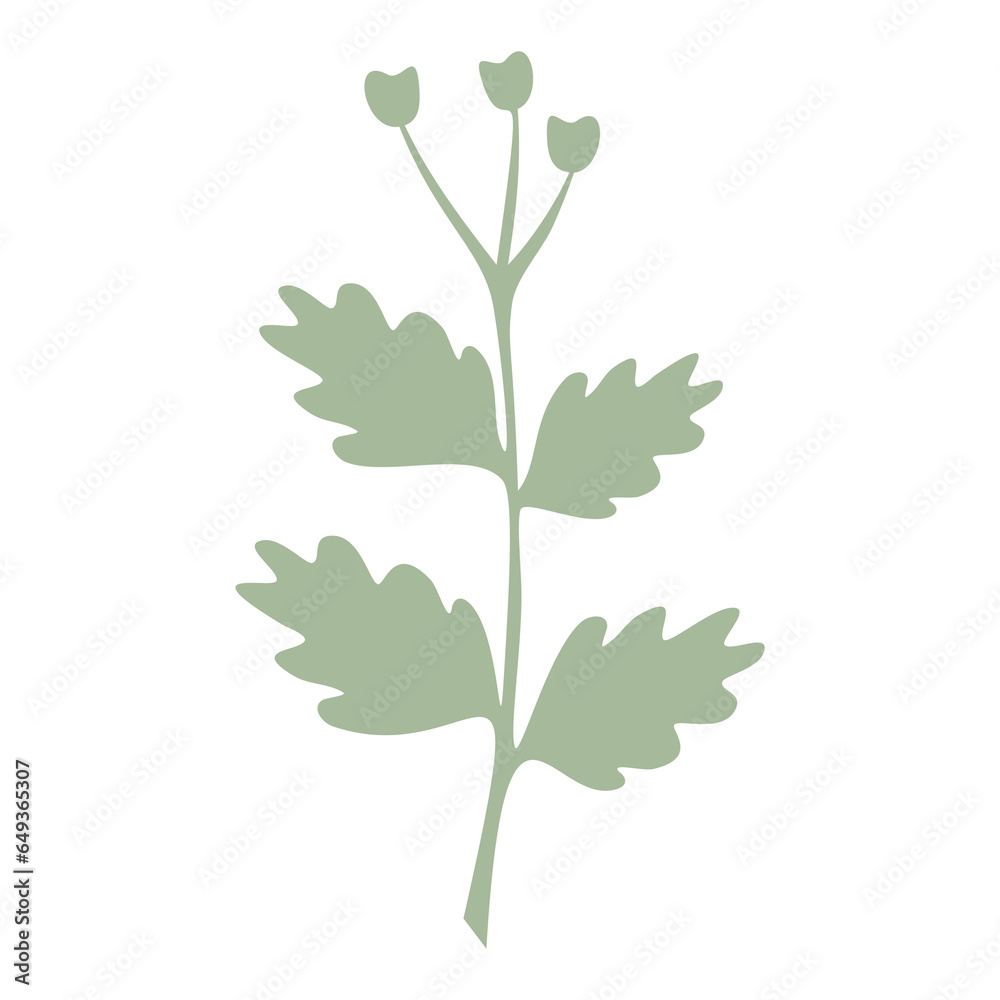 Green Leaf vector isolated on white background. Leaves in modern flat style Green Leaf vector isolated on white background. Leaves in modern flat style