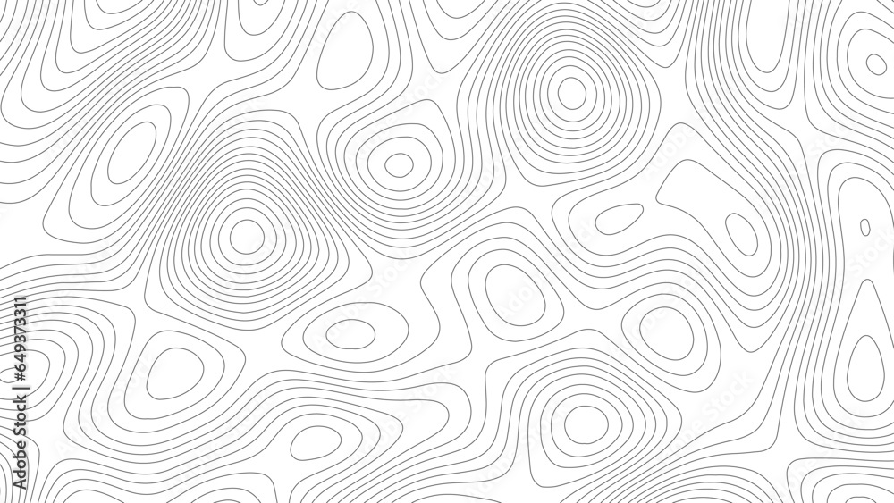 Topo contour map on white background, Topographic contour lines.