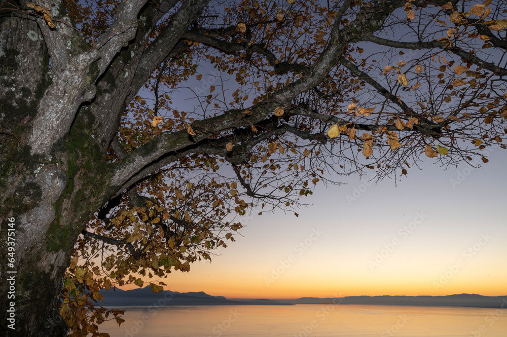 Préparation à l'automne