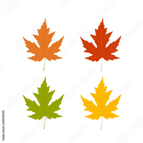 Set of vector leaves. Maple leaves. Isolated on a white background. Flat design. 