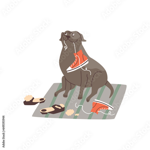 Naughty dog chews his owners shoes, flat cartoon vector illustration isolated.