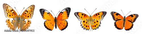 Beatiful and colorful butterflies isolated on transparent background generative ai © Hixel