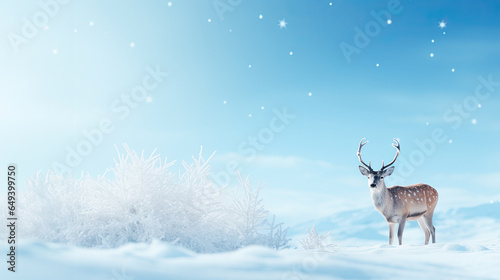 Winter fantastic postcard. Red deer in a fairy-tale snowy forest. Christmas image. Winter wonderland. Blue christmas greeting card with copy space.