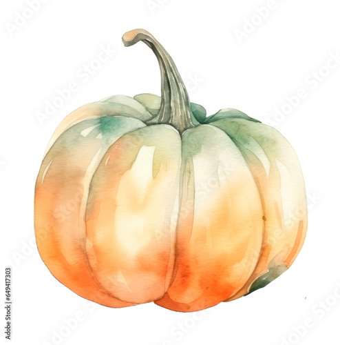 Watercolor pumpkin, big orange squash painted in artictic style, isolated. Autumn harvest. photo