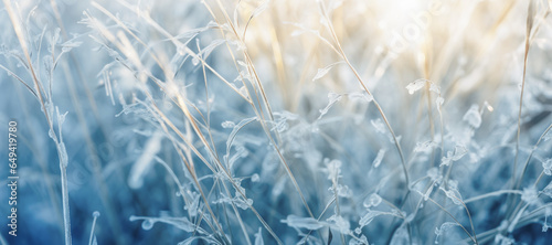 A close-up of a frosted tree and meadow, where hoarfrost and snow combine to create a captivating texture, illuminated by soft winter light.